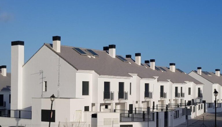 H-Selection Innova Pepper